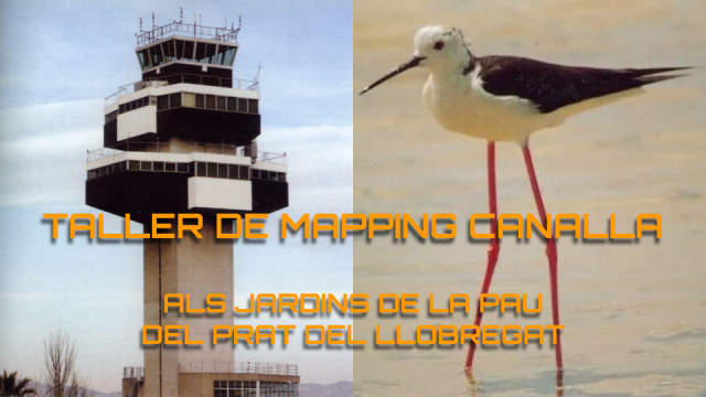 Mapping en família: dibuixos, formes i llum