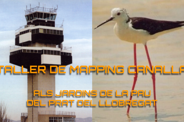 Mapping en família: dibuixos, formes i llum