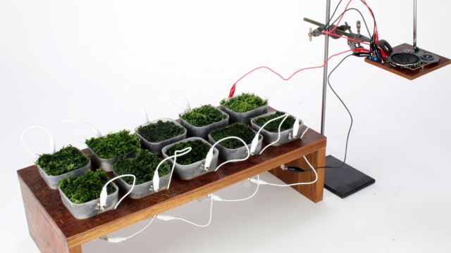Moss FM