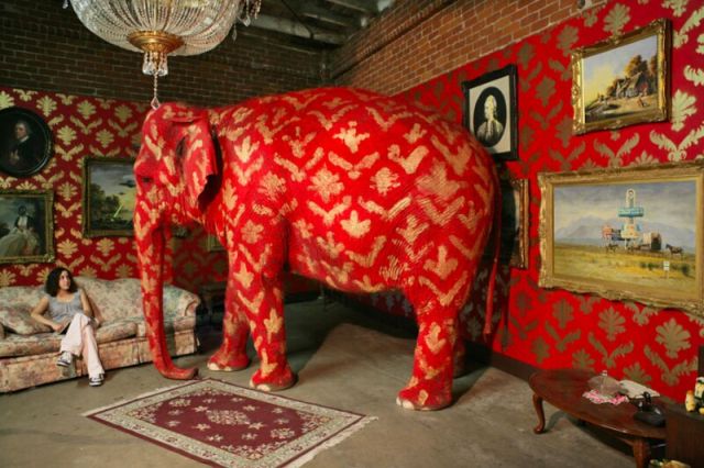 ER…VA 84 :: Un elefant a l’habitació