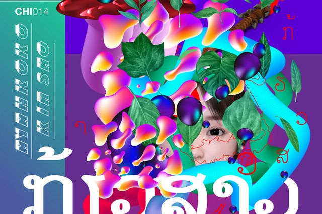 ER…VA 70 :: Proyectos Ayankoko y OLEOS