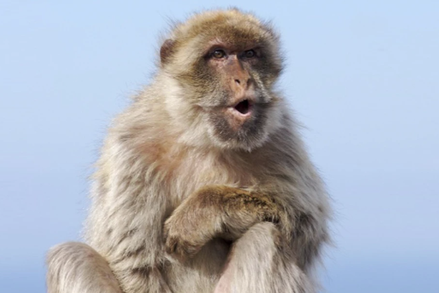 Espectacle Con Versos – Festival Katharsis 2022