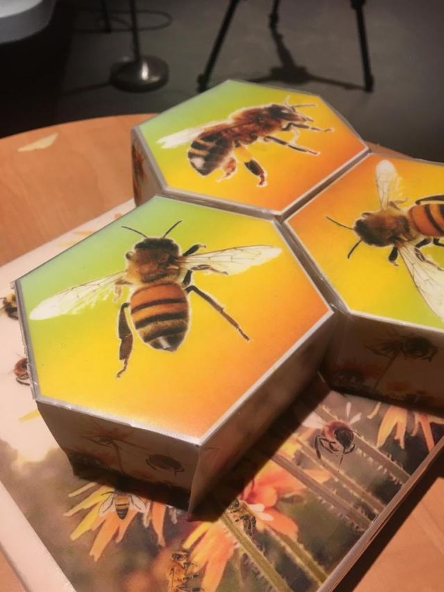 Co-evolució _ Taller infantil