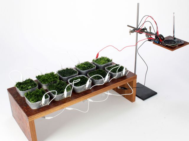Moss FM