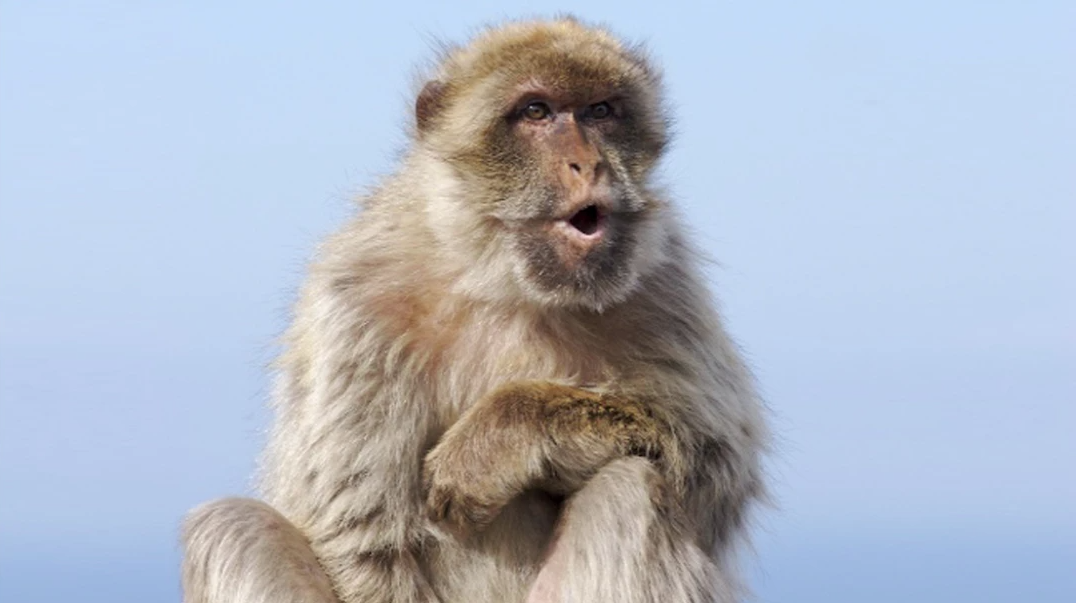 Espectacle Con Versos – Festival Katharsis 2022