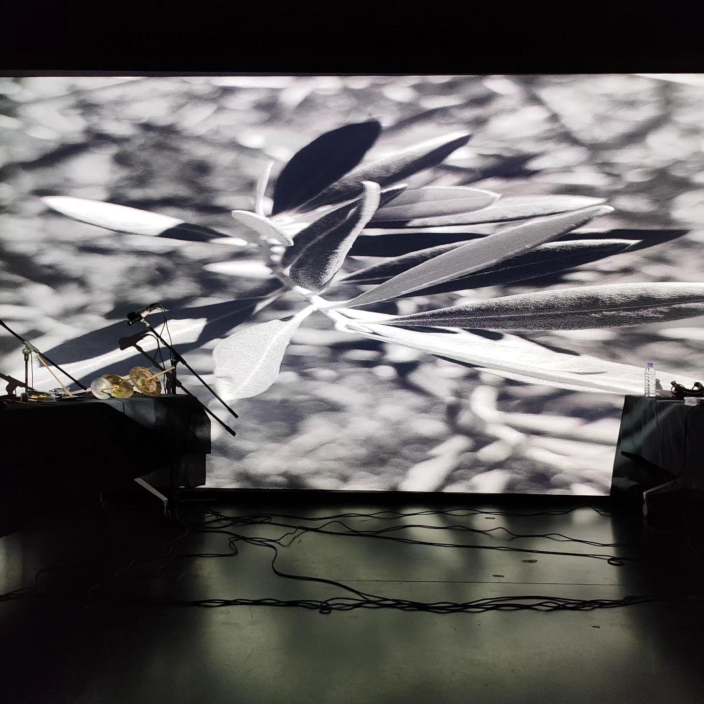 ER..VA 83::: De Olivos