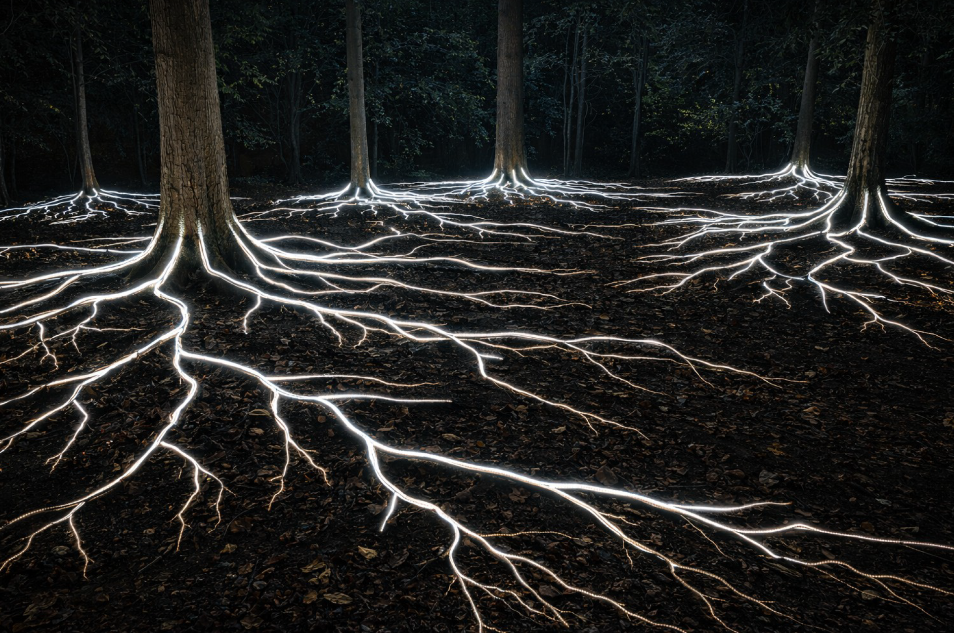 Taller de instalación lumínica con DMX