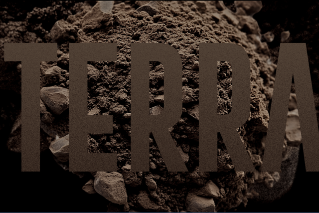 Festival Ebrelumen 2025