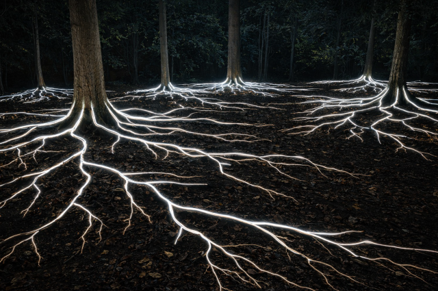 Taller de instalación lumínica con DMX