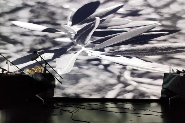 ER..VA 83::: De Olivos